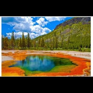 Meet your Posher, Aditi